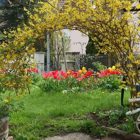 Le Nid D'hirondelle