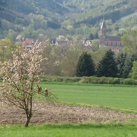 Le Nid D'hirondelle * Wihr-au-Val