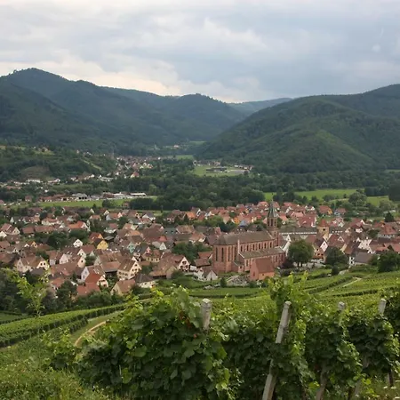 Le Nid D'hirondelle Appartement Wihr-au-Val