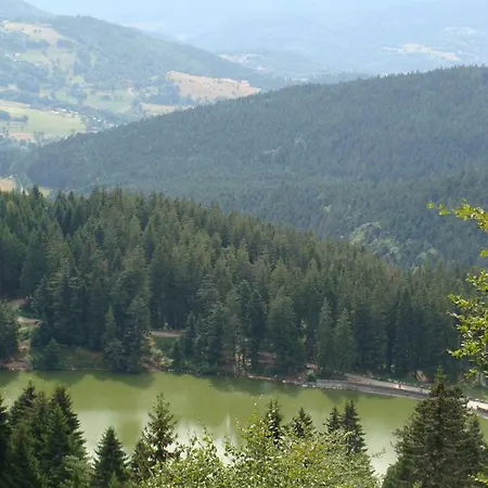 Appartement Le Nid D'hirondelle Wihr-au-Val