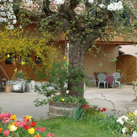 Le Nid D'hirondelle Wihr-au-Val