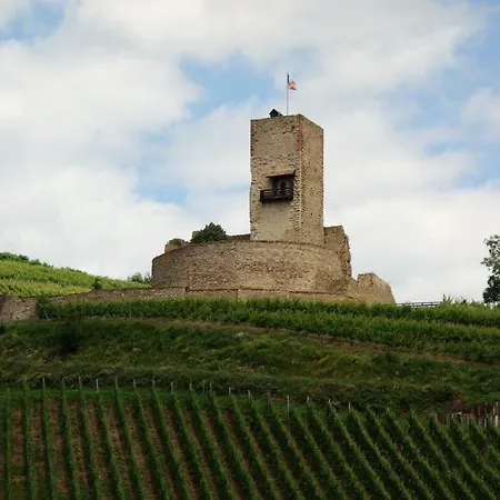 Le Nid D'hirondelle Wihr-au-Val